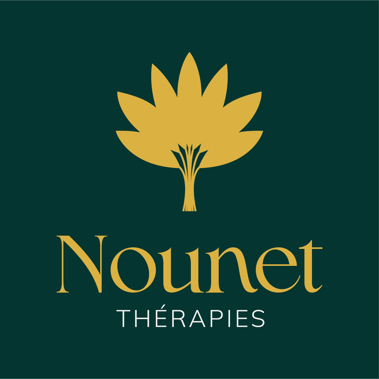 Nounet Thérapies | Elise Mivelaz