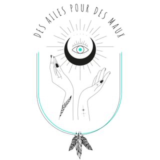 Des ailes pour des maux - Véronique Sartori